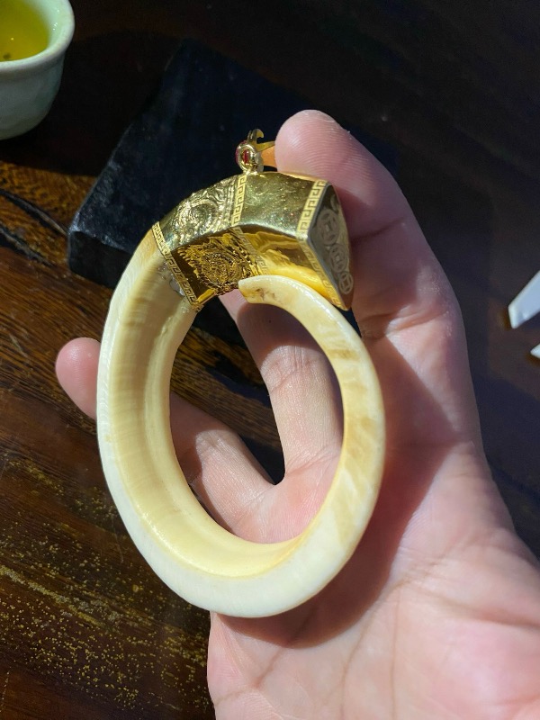 Răng Nanh Heo Ms.16.A79