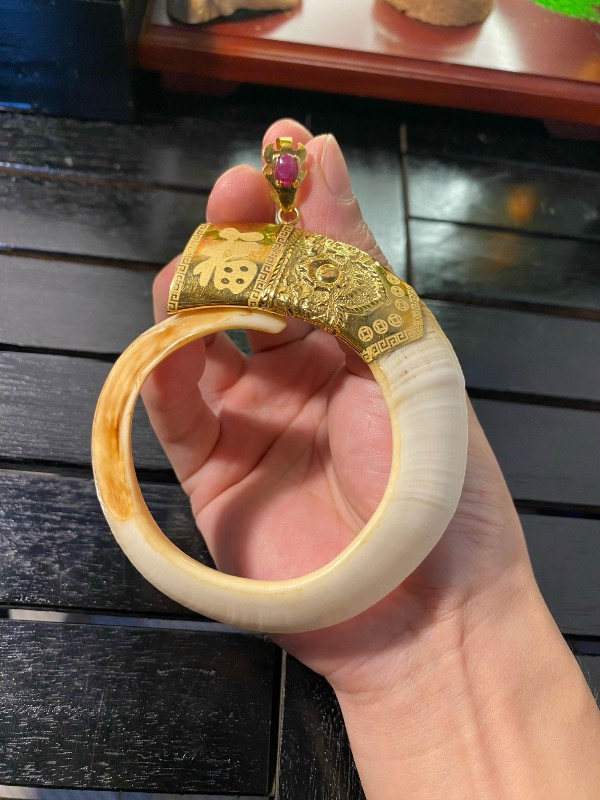 Răng Nanh Heo Ms.16.A79