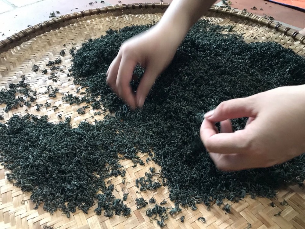 Trà Đinh Móc Câu 